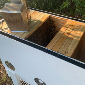 20 frame hive