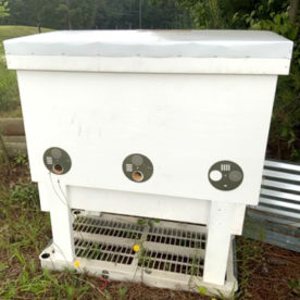 20 frame layens hive on stand